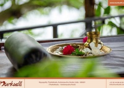Best wellness resorts in Kerala